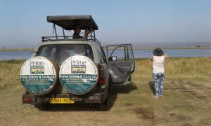The best vehicles to hire for your Easter Holidays -Uganda Safari News